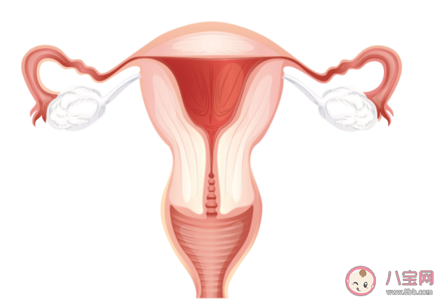 女人排卵期会有特殊味道吗 同房怎么抓准排卵期